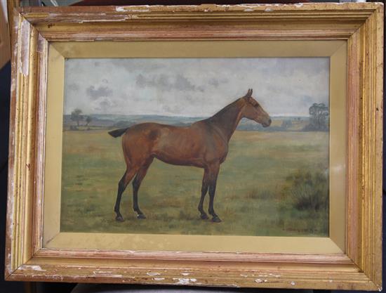 George Goodwin Kilburne (1839-1924) Portrait of a horse in a field, 11.5 x 17.5in.